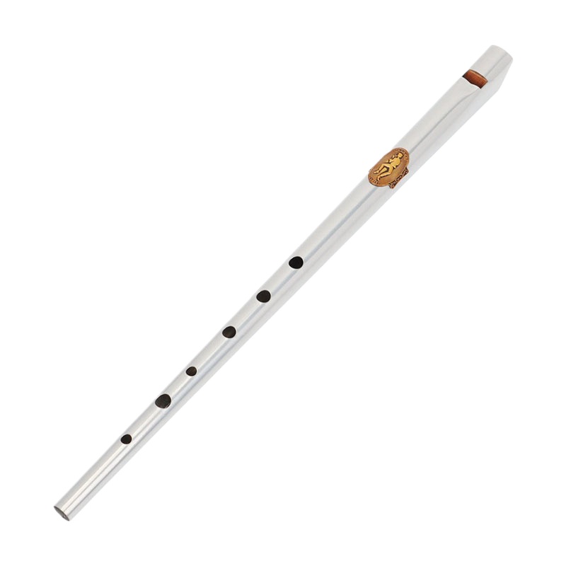 Tin Whistle Flute - D/Cキー ティンホイッスル 学生 初心者 ポータブル レコーダー