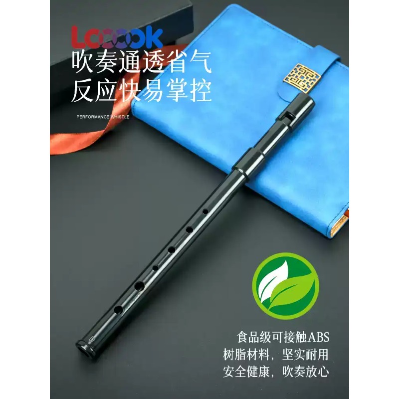 ユニバース食料品店 ホイッスルハイD ティンフルート レコー - Tin Whistle Flute のレビューと価格