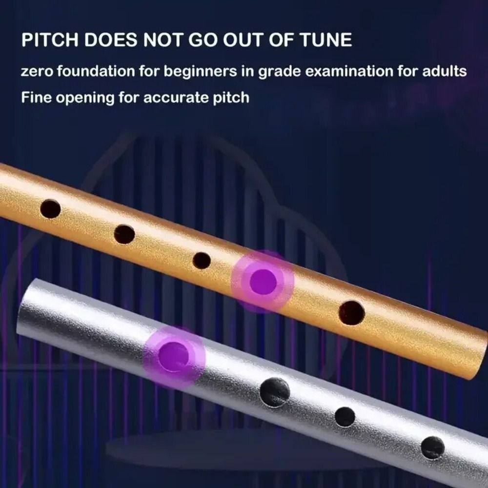 C/Dキー イリッシュホイッスル フルート 6穴 簡単学習  - Tin Whistle Flute のレビューと価格