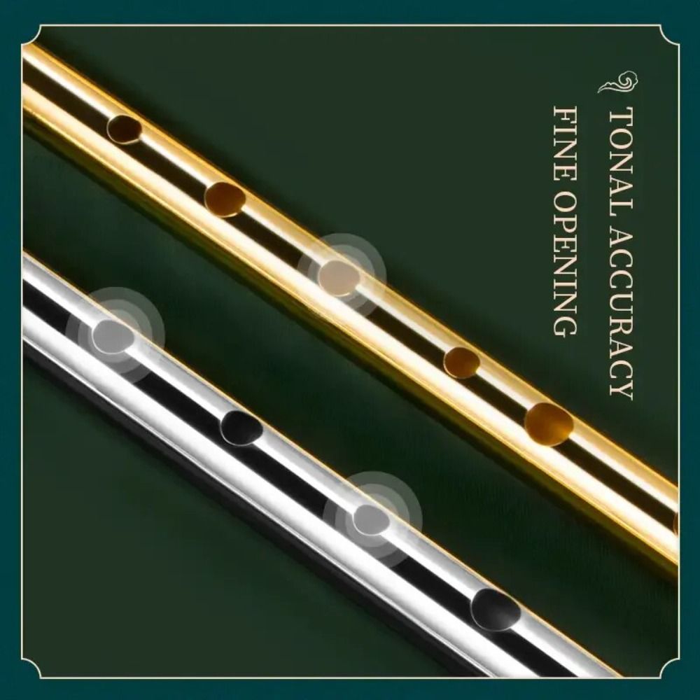 6穴C/Dキー イリッシュホイッスル フルート 6穴 簡単学 - Tin Whistle Flute のレビューと価格