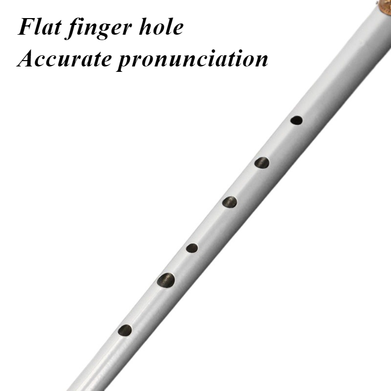 D/Cキー ティンホイッスル 学生 初心者 ポータブル レコ - Tin Whistle Flute のレビューと価格